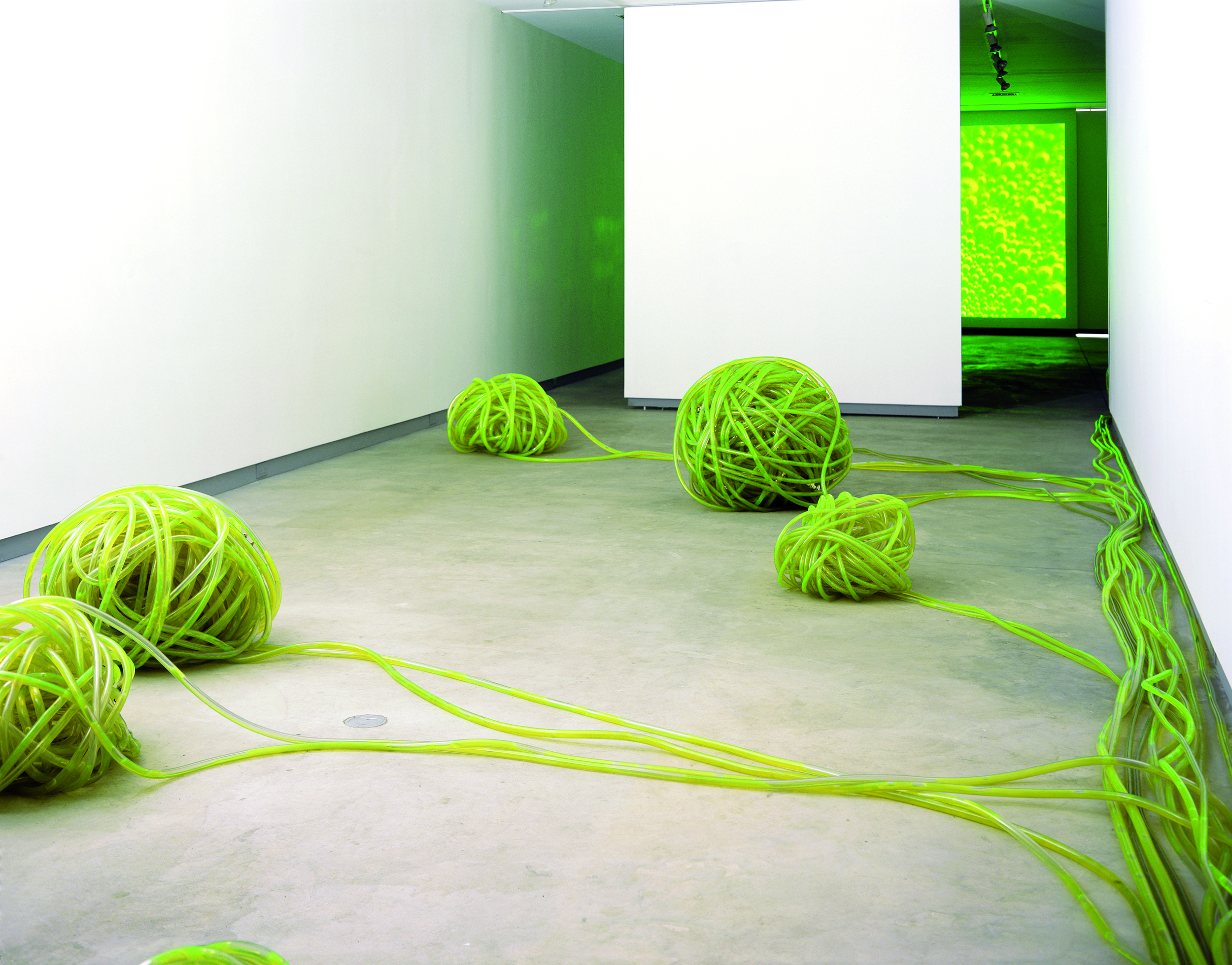EcoArt Project
